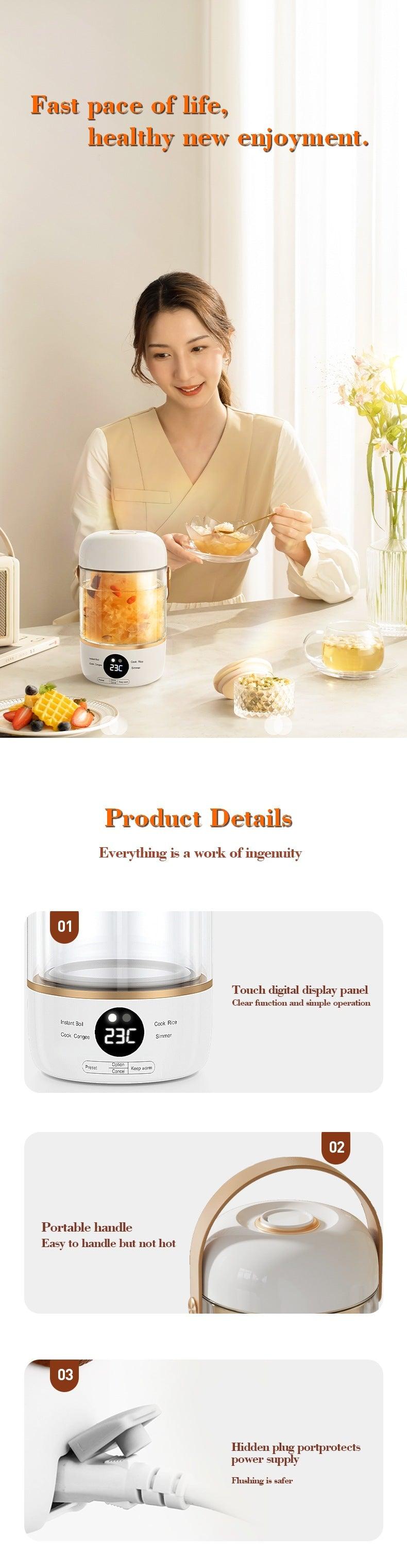 110V220V Smart Electric Stew Cooker Personal Portable Electric Stew Pot - Nioor