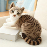 Cat Plush Toys - Nioor