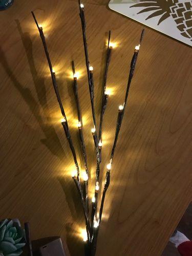 20LED Twigs Light String Decoration Living - Nioor