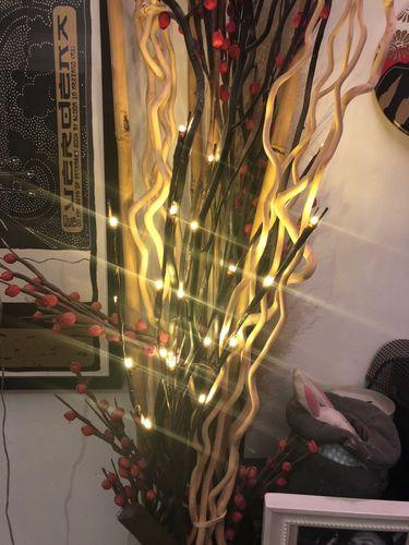 20LED Twigs Light String Decoration Living - Nioor