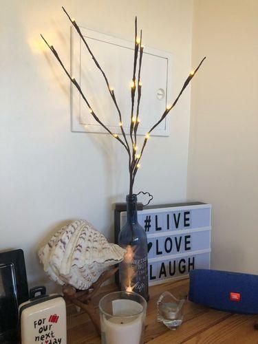 20LED Twigs Light String Decoration Living - Nioor