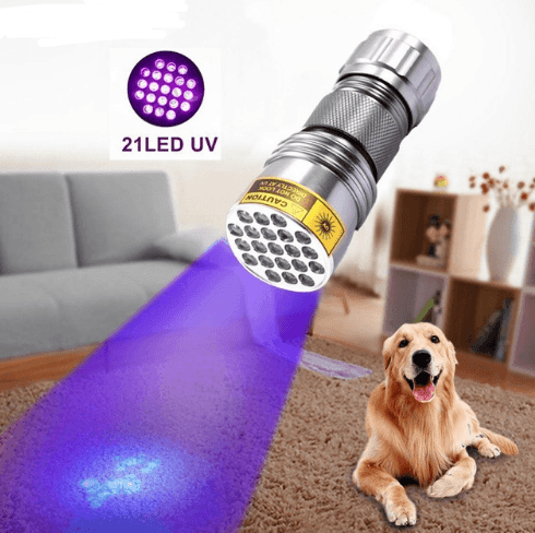 21LED violet flashlight LED violet UV UV Flashlight counterfeit flashlight - Nioor