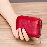 Card Holder Organ Zipper Men's Leather