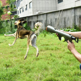 Tennis shooting gun to send tennis pets - Nioor