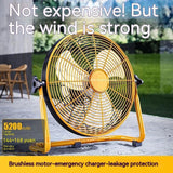 Portable Outdoor Mobile Paddy Rechargeable Fan - Nioor