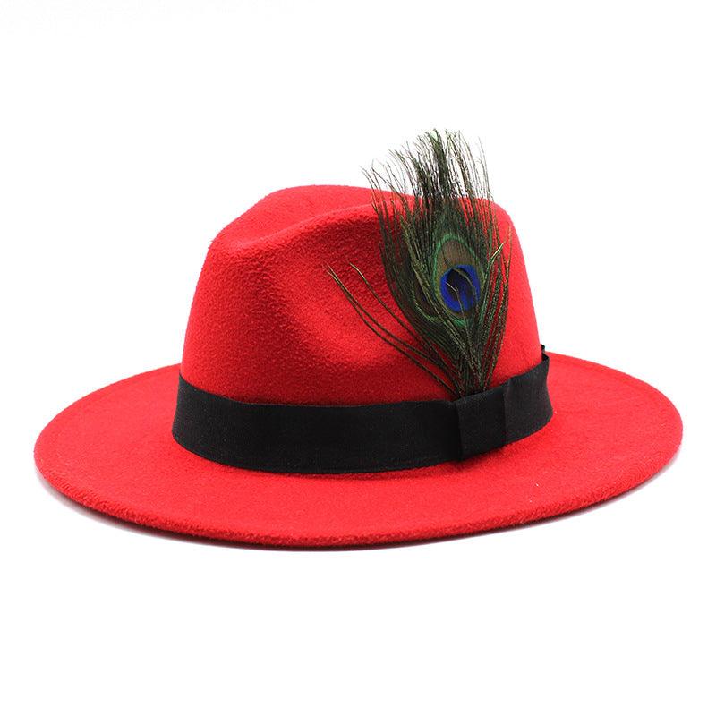 Women's Woolen Big Brim Peacock Feather Casual Sun Hat - Nioor