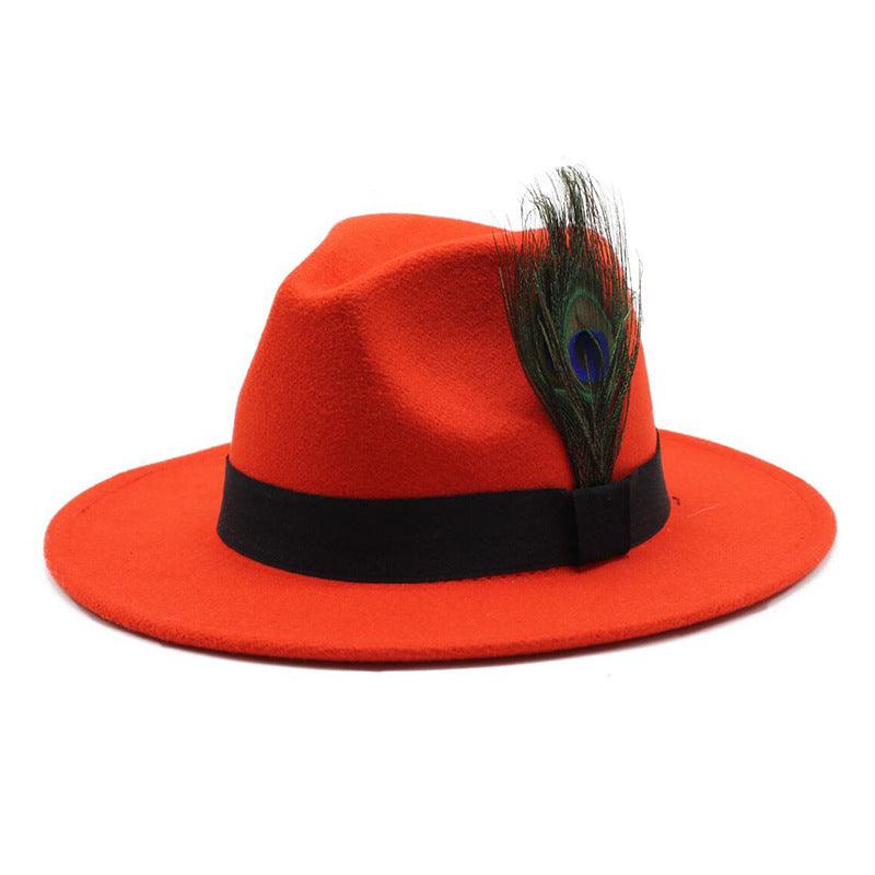 Women's Woolen Big Brim Peacock Feather Casual Sun Hat - Nioor