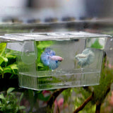 Acrylic Aquarium Fish Tank Incubation Box - Nioor