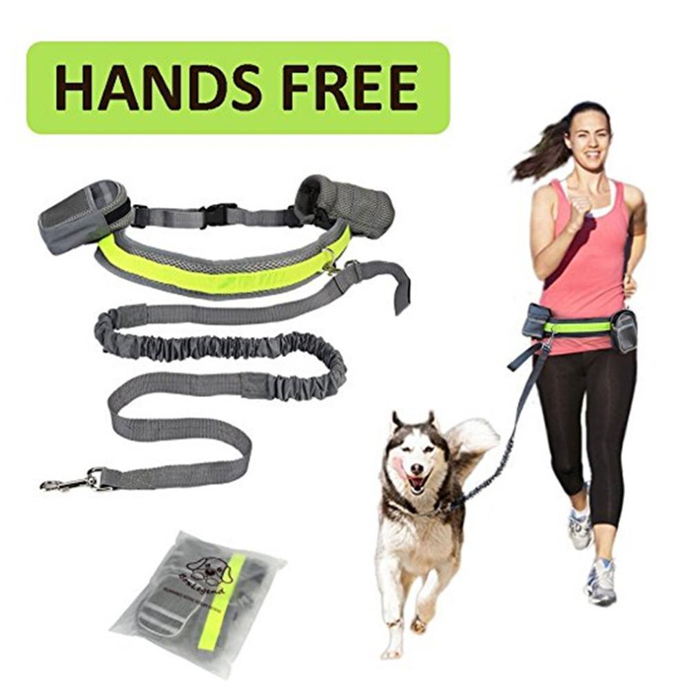 Adjustable Hands Free Dog Leash - Nioor