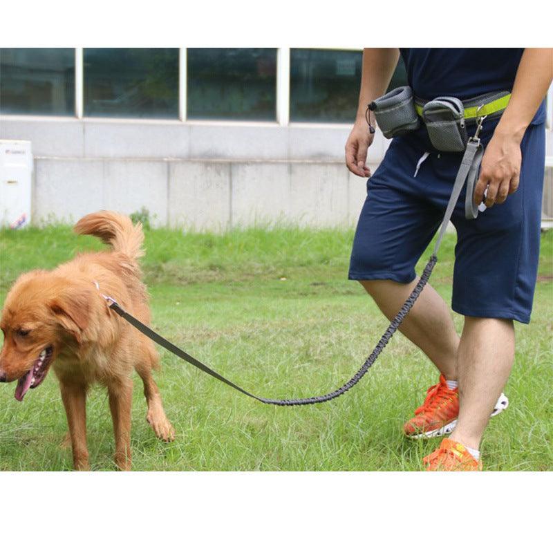 Adjustable Hands Free Dog Leash - Nioor