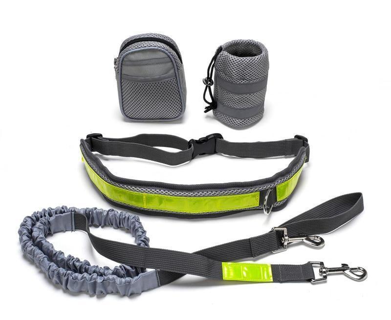 Adjustable Hands Free Dog Leash - Nioor