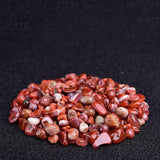 Aquarium Potted Decorative Gravel - Nioor