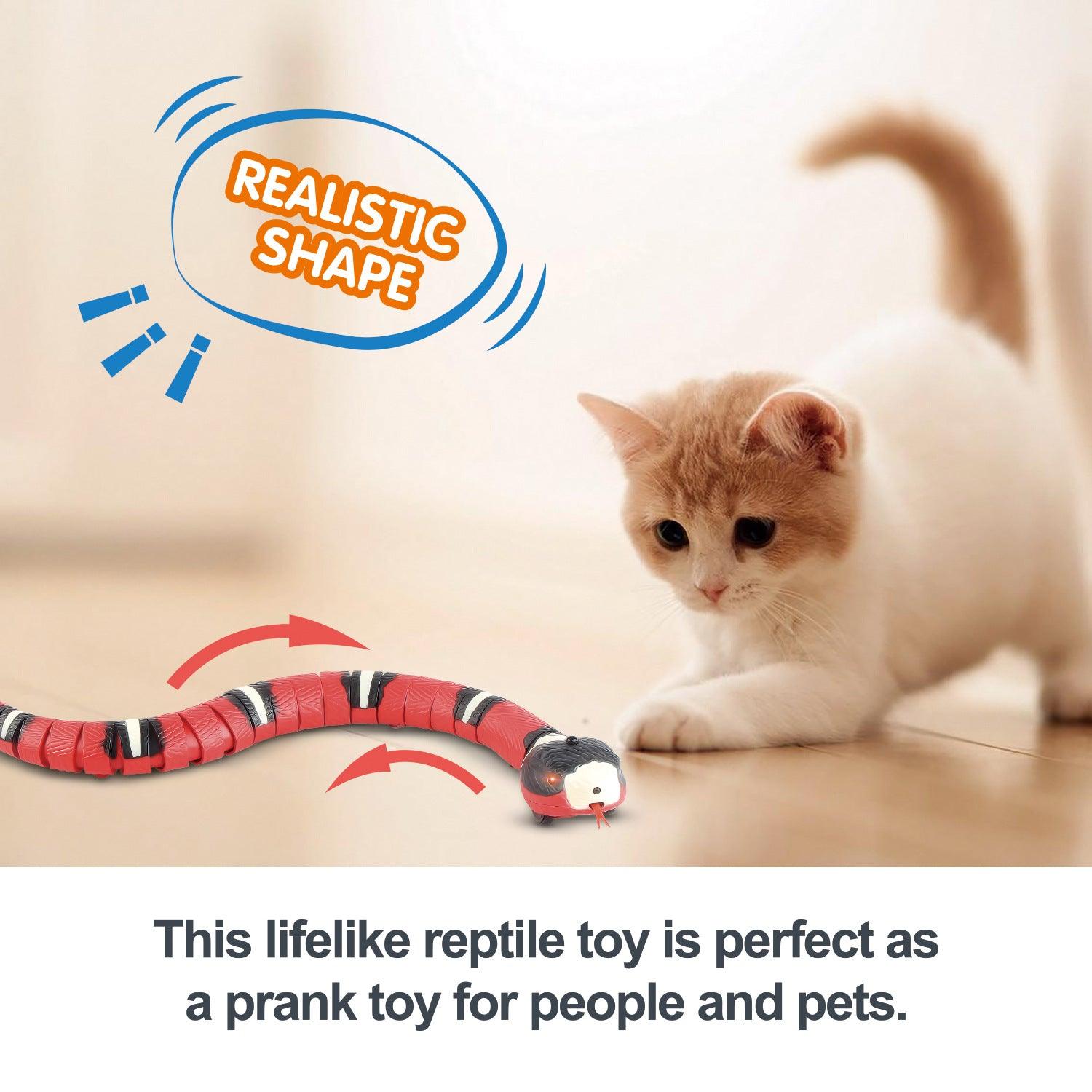 Smart Sensing Interactive Cat Toys Automatic Eletronic Snake Cat Teasering Play USB Rechargeable Kitten Toys For Cats Dogs Pet - Nioor