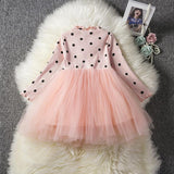 Baby Girls Spring Winter Long Sleeve Tutu Lace Dresses Infantil Newborn 1st Birthday Party Clothes Christening Gown Casual Wear - Nioor