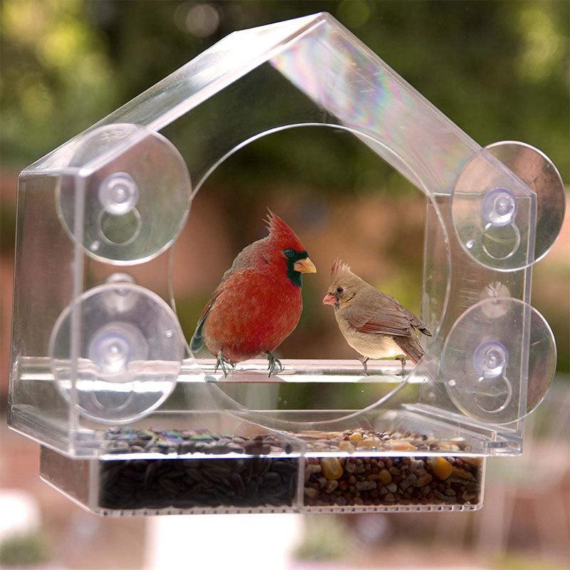 Bird Feeder Camera Live Bird Feeder Cam Bird Buddy Smart Bird Feeder With Camera - Nioor