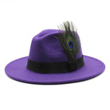 Women's Woolen Big Brim Peacock Feather Casual Sun Hat - Nioor