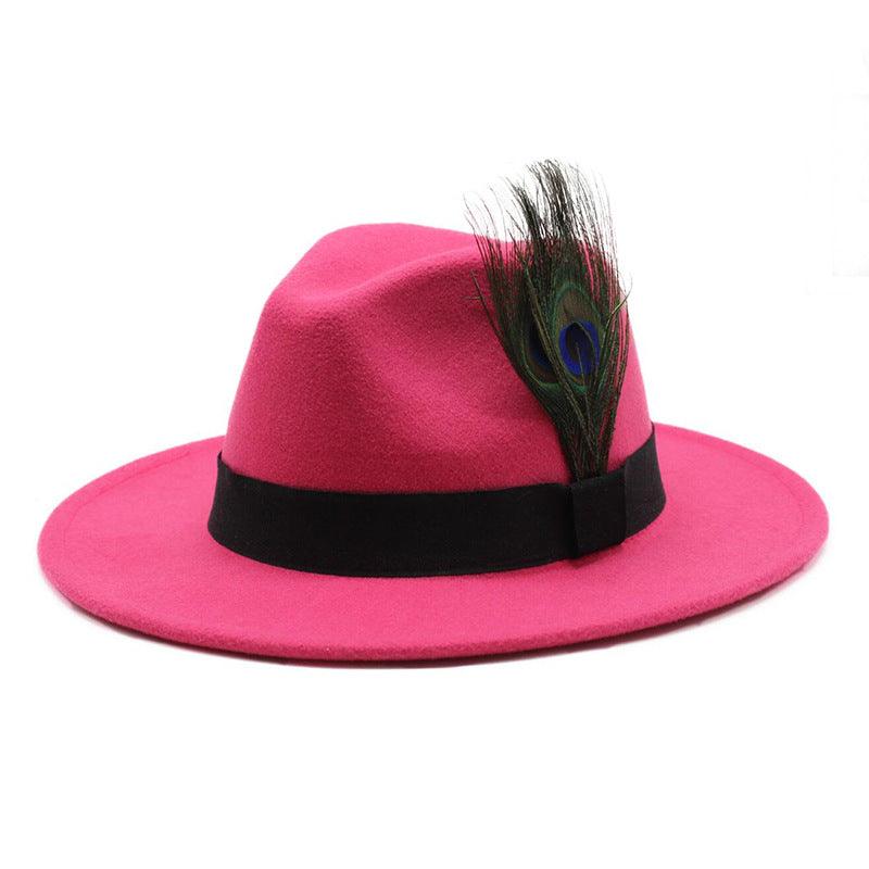 Women's Woolen Big Brim Peacock Feather Casual Sun Hat - Nioor