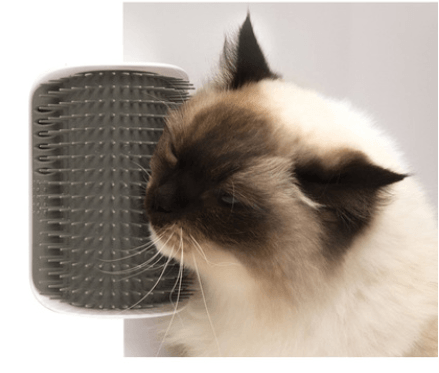 Cat Self-Grooming Brush Pet Wall Rubbing Device - Nioor