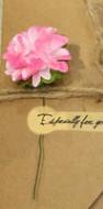 Creative kraft dried flower greeting card - Nioor