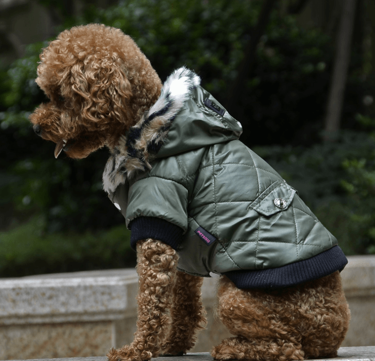 Cross-border pet supplies pet clothes dog clothes autumn and winter fur collar coat pet dog clothing - Nioor