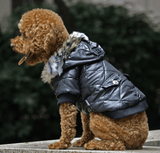 Cross-border pet supplies pet clothes dog clothes autumn and winter fur collar coat pet dog clothing - Nioor