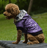 Cross-border pet supplies pet clothes dog clothes autumn and winter fur collar coat pet dog clothing - Nioor