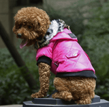 Cross-border pet supplies pet clothes dog clothes autumn and winter fur collar coat pet dog clothing - Nioor