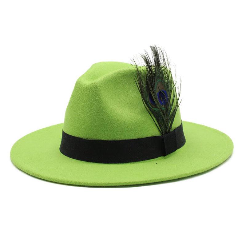 Women's Woolen Big Brim Peacock Feather Casual Sun Hat - Nioor