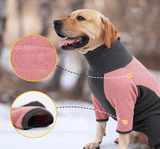 Dog Clothes Cold Proof And Warm Pet In Winter Warm Pets Supplies - Nioor