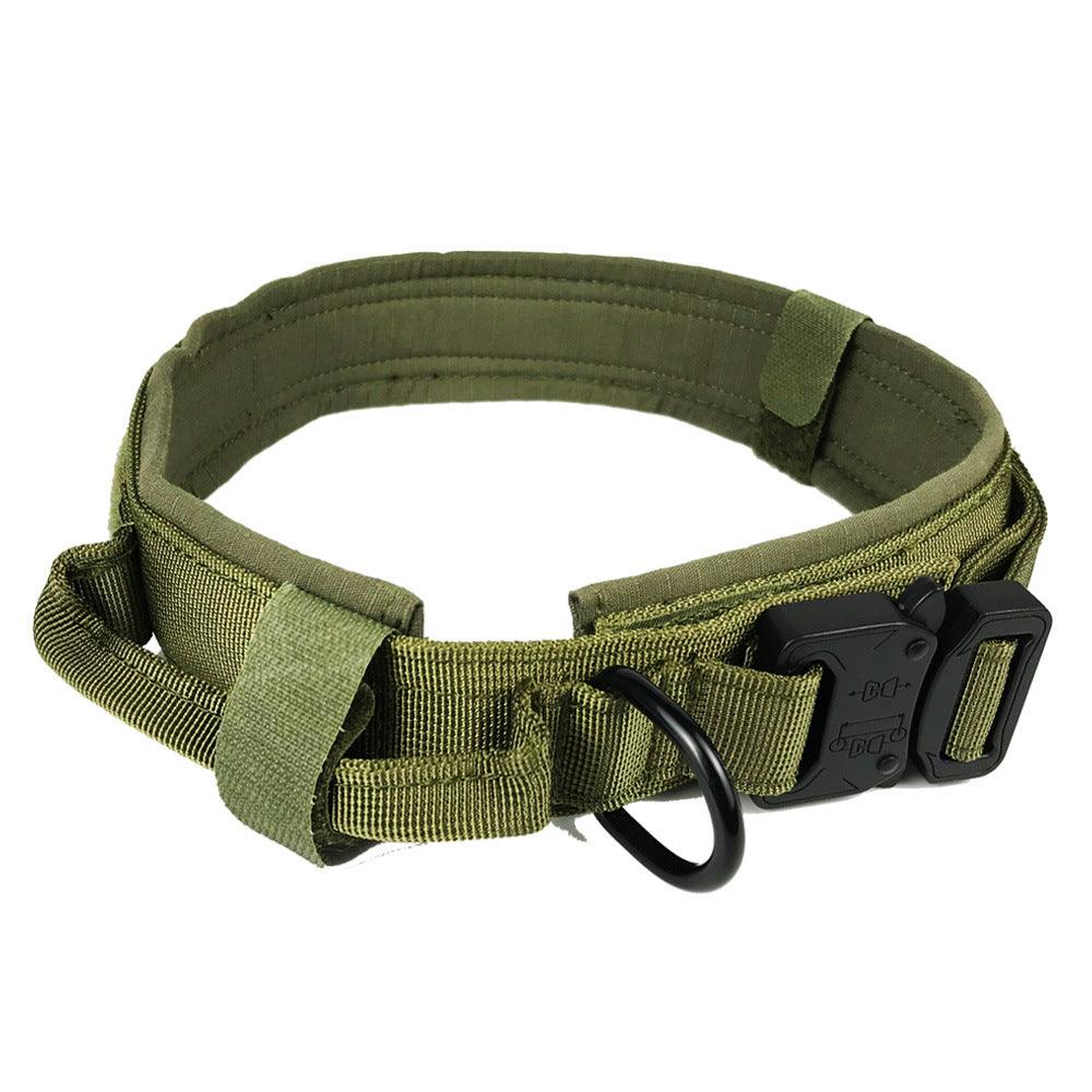 Dog collar - Nioor