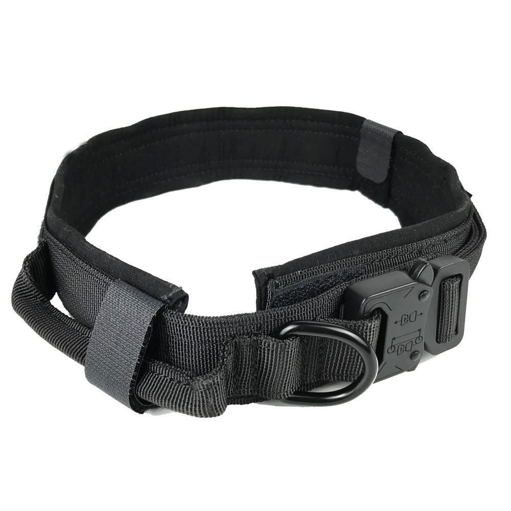 Dog collar - Nioor