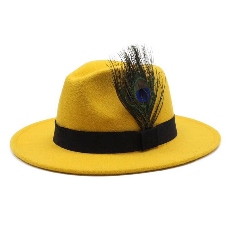 Women's Woolen Big Brim Peacock Feather Casual Sun Hat - Nioor