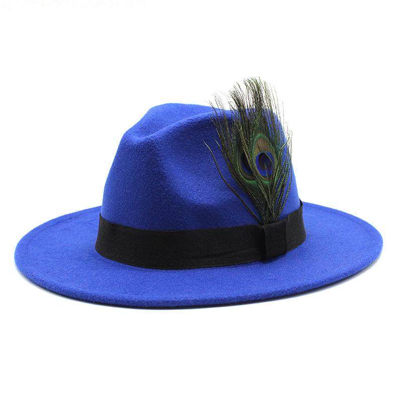 Women's Woolen Big Brim Peacock Feather Casual Sun Hat - Nioor