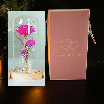 Enchanted Forever Rose Flower in Glass LED Light Christmas Decoration - Nioor