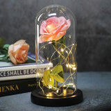 Enchanted Forever Rose Flower in Glass LED Light Christmas Decoration - Nioor