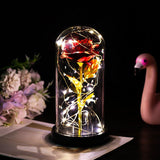 Enchanted Forever Rose Flower in Glass LED Light Christmas Decoration - Nioor