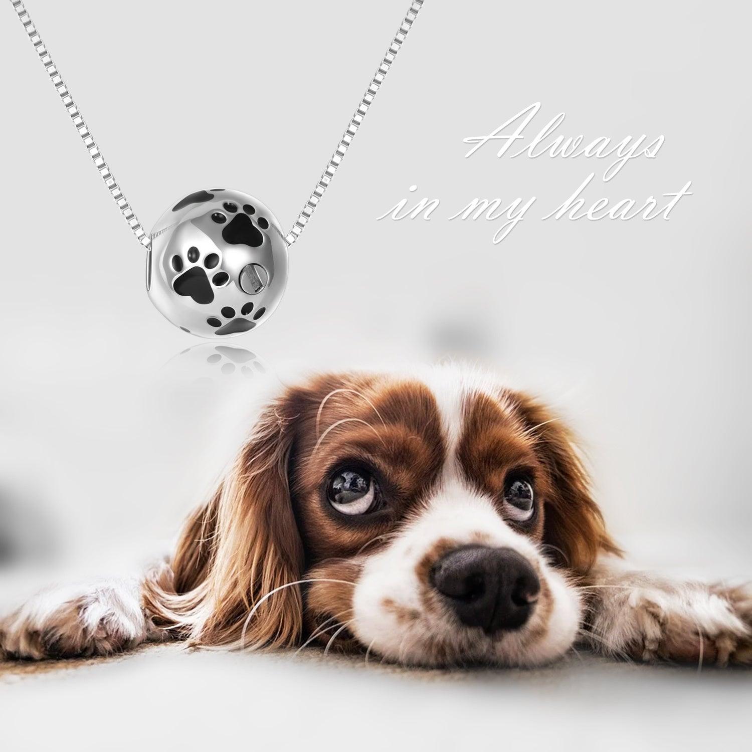 Dog Cat Pet Paw Print Cremation Urn Necklace for Ashes in White Gold Plated 925 Silver - Nioor