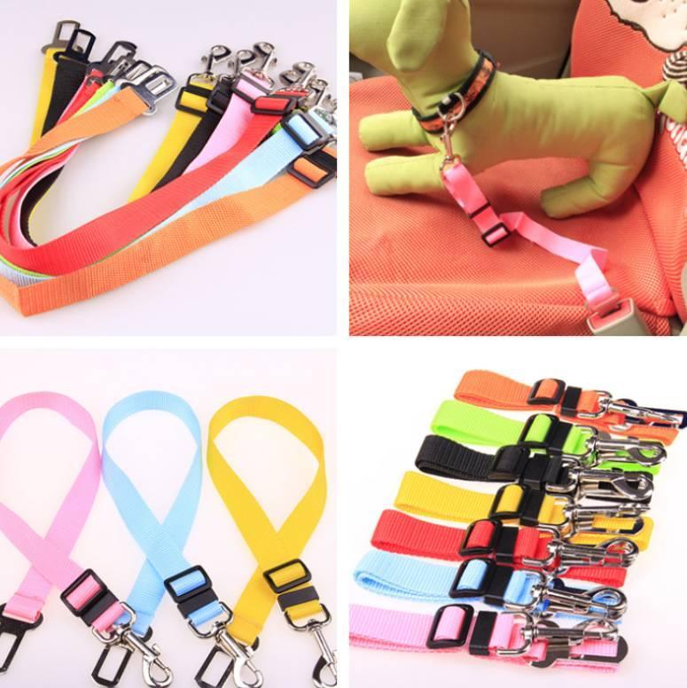 Fixed Strap Polyester Dog Strap Dog Leash Dog Leash - Nioor