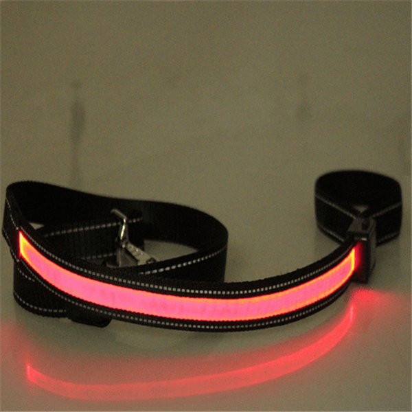 Fluorescent dog collar - Nioor