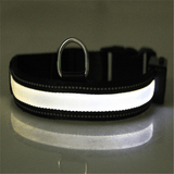 Fluorescent dog collar - Nioor