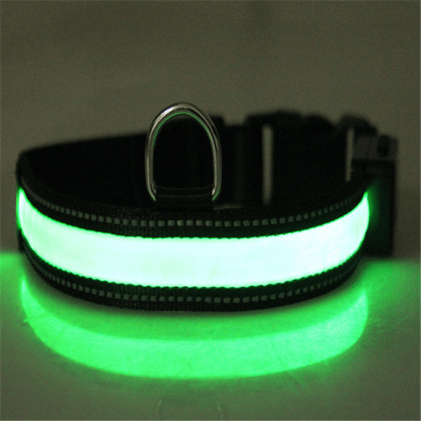 Fluorescent dog collar - Nioor