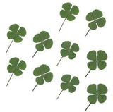 Four-leaf Clover (10 Pcs) For Handmade Jewelry - Nioor