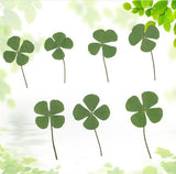 Four-leaf Clover (10 Pcs) For Handmade Jewelry - Nioor