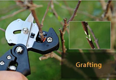 Garden Fruit Tree Pro Pruning Shears Scissor Grafting Cutting Tool 2 Blade Garden Tools Set Pruner Tree Cutting Tool - Nioor