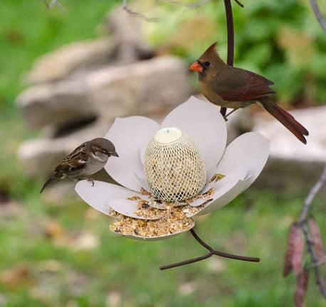 Garden Petal Shape Bird Feeder - Nioor