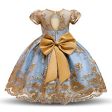 Girls puffy princess dress - Nioor