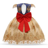 Girls puffy princess dress - Nioor