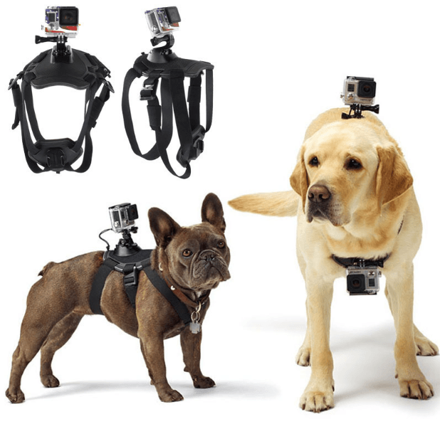 GoPro Hero Dog Strap Belt Harness - Nioor