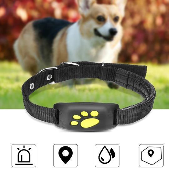 GPS Pet Tracker - Nioor