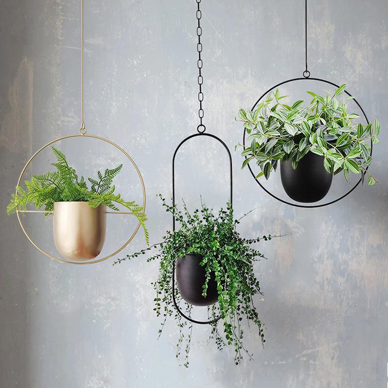 Hanging Iron Flower Pot Nordic Style Simple Creative Hydroponic Plant Potted Decoration Light Luxury Personalized Hanging Orchid - Nioor